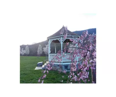 Picture of the Buchanan Park Gazebo with blooming floors