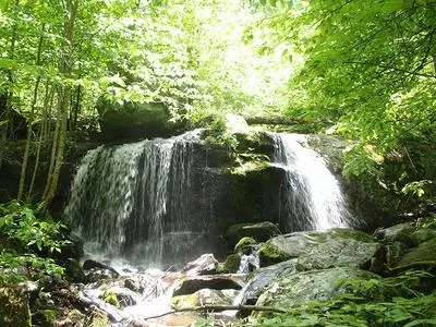 Apple Orchard Falls