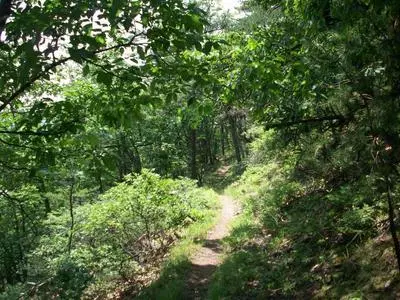 Spec Mine Trail