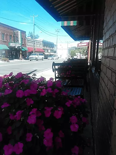 Flowers