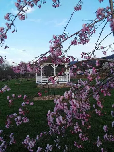 Gazebo