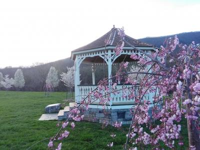 Buchanan Community Photo
